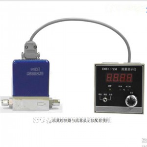 气体流/量控/制器（氮/气） 0-100 sccm 型号:XLRB-D07-19B库号：M328569